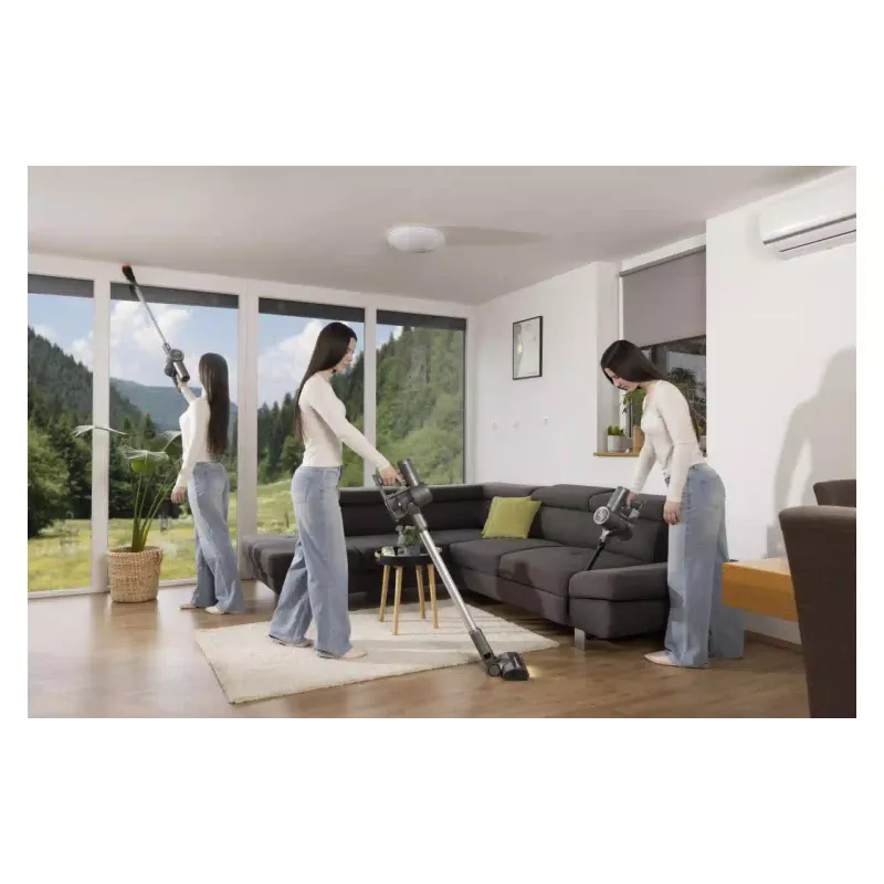 Vacuum cleaner Gorenje (SVC252420FFA), 500 ml, 95 W, Anthracite