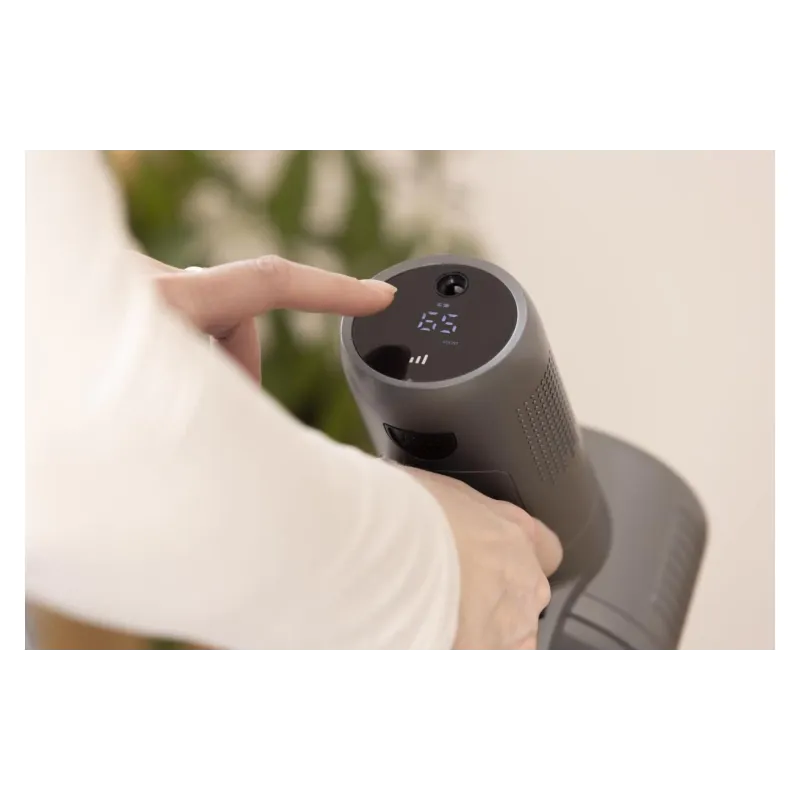 Vacuum cleaner Gorenje (SVC252420FFA), 500 ml, 95 W, Anthracite