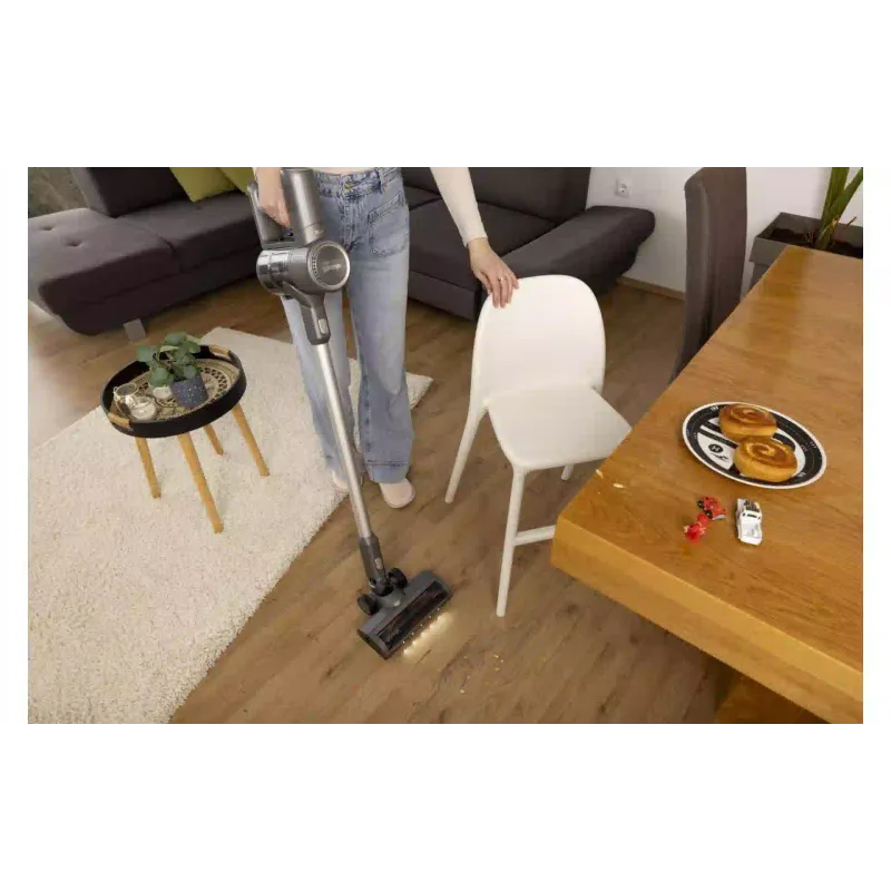 Vacuum cleaner Gorenje (SVC252420FFA), 500 ml, 95 W, Anthracite