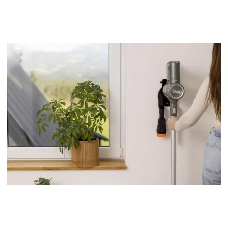 Vacuum cleaner Gorenje (SVC252420FFA), 500 ml, 95 W, Anthracite