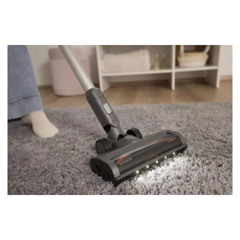 Vacuum cleaner Gorenje (SVC252420FFA), 500 ml, 95 W, Anthracite