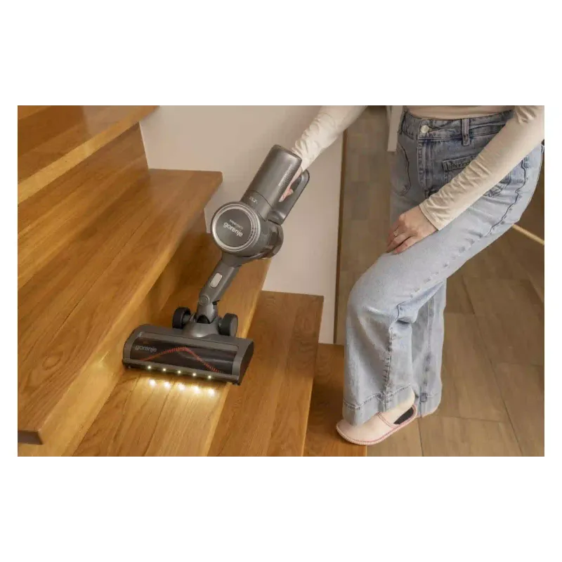 Vacuum cleaner Gorenje (SVC252420FFA), 500 ml, 95 W, Anthracite
