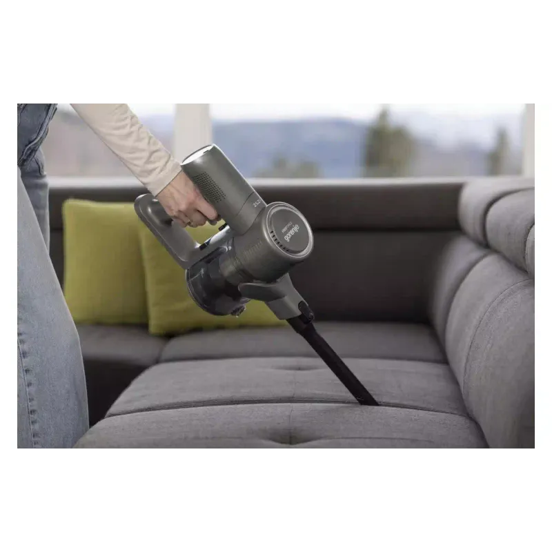 Vacuum cleaner Gorenje (SVC252420FFA), 500 ml, 95 W, Anthracite