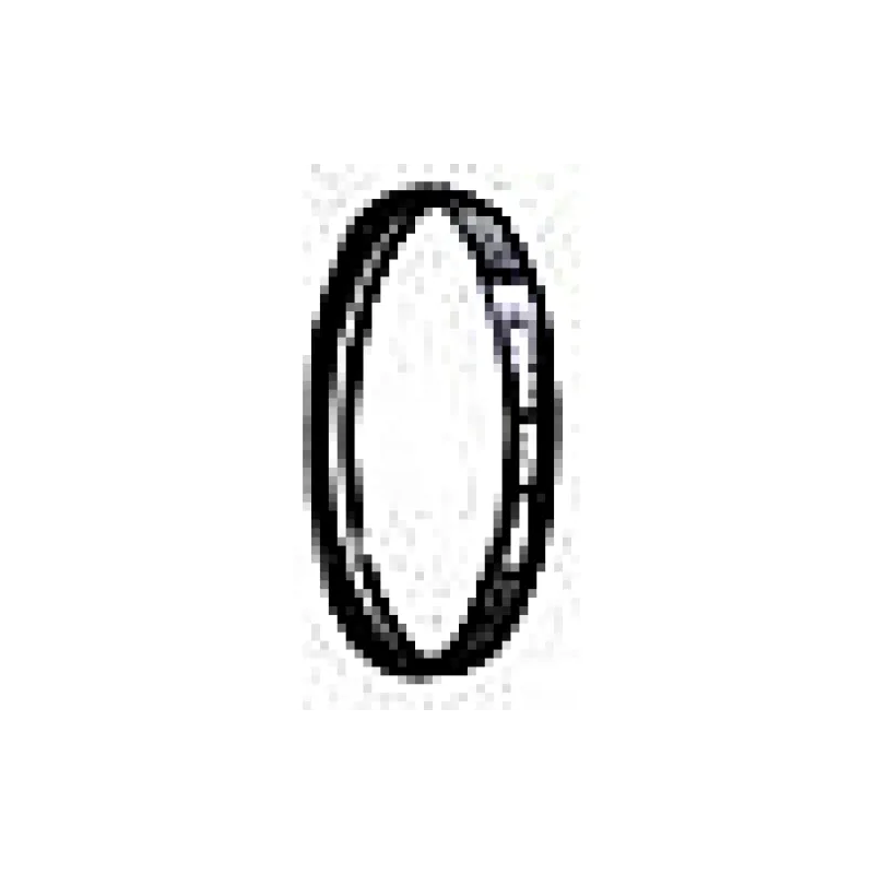 Lichtfilter Canon (2598A001)