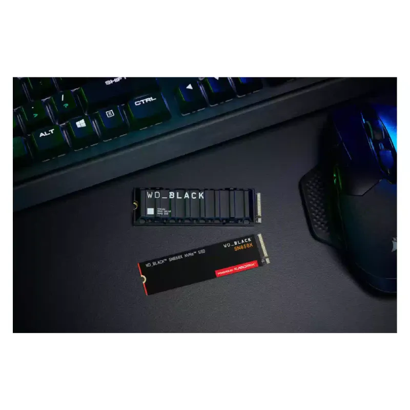 تخزين SSD WD, Black (WDS400T2X0E)
