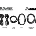 شاشة ألعاب Iiyama (GB2791QSU-B1)