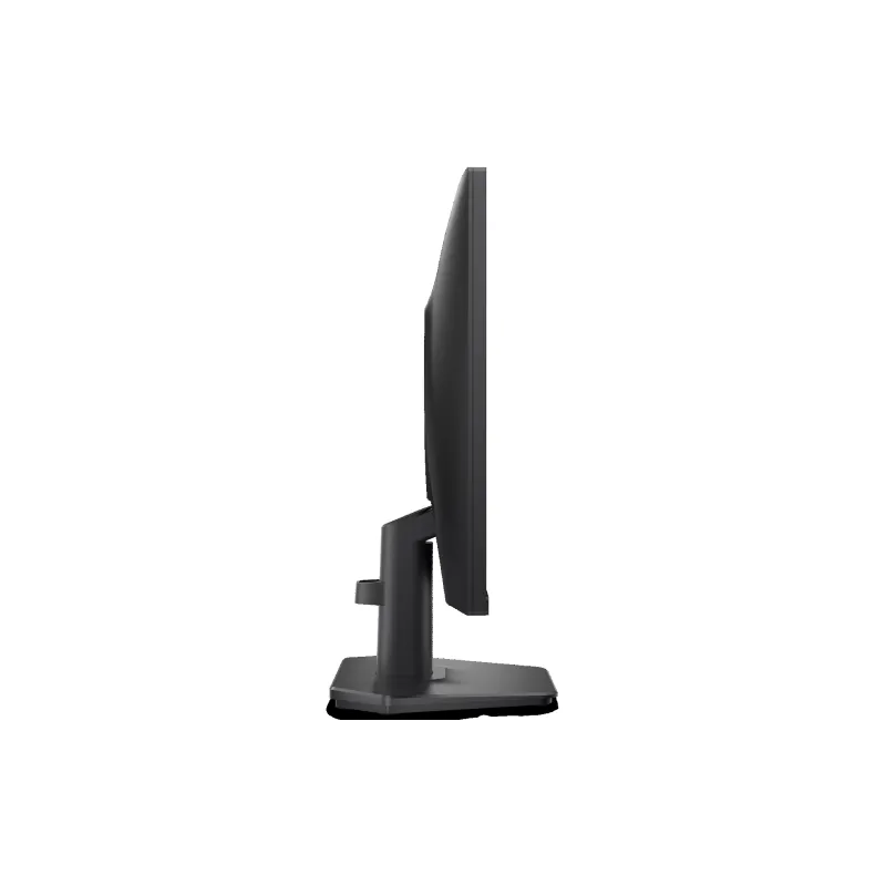 Monitor Dell SE2426HG (210-BTTF)