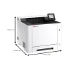 الطابعة Kyocera (110C253NL0)