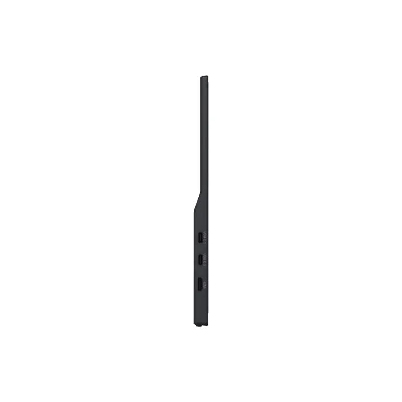 شاشة Iiyama (P1671HSC-B1)