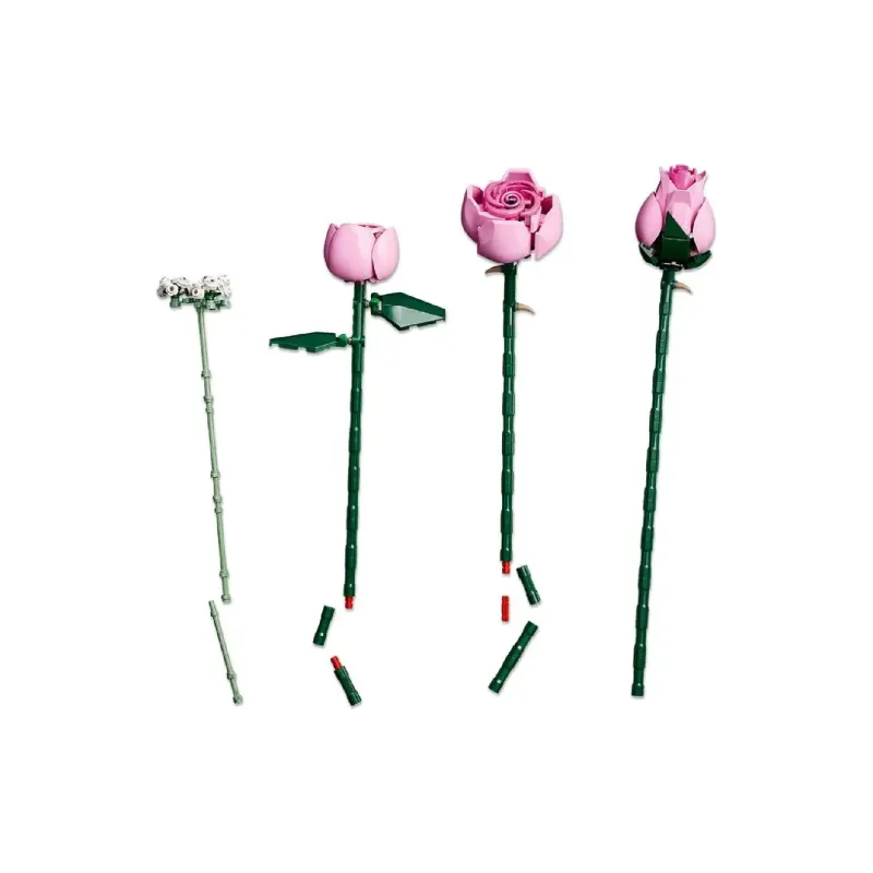 Конструктор LEGO Botanicals  (10374)