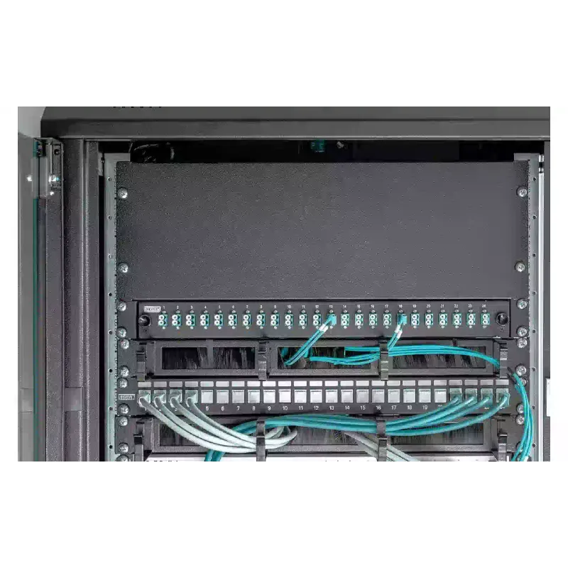 Заглушка Digitus (DN-19BPN-04-SW), 19" 4U, Black