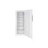 Freezer Snaige, White (F21SM-TT000EH)