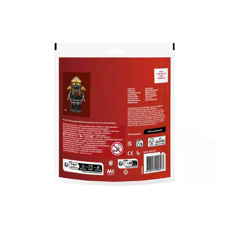Κατασκευαστής LEGO Ninjago  (30723)