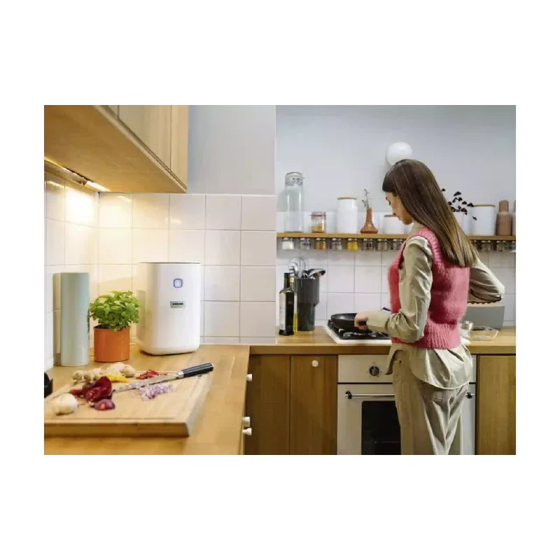 Luftreiniger Karcher AF 20, White (1.024-820.0)