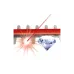 Heckenschere Einhell GC-CH (3410642K)