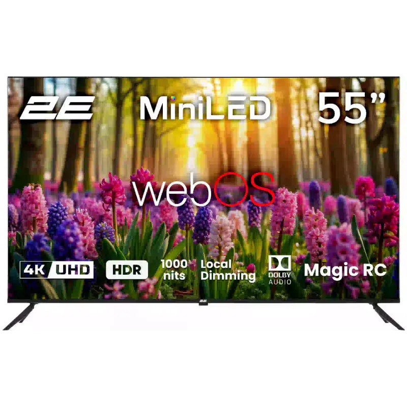 tv 2E, Black (2E-55A88H)