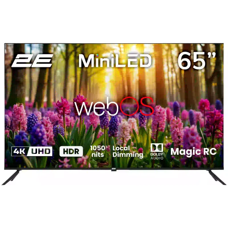 tv 2E, Black (2E-65A88H)