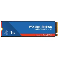 Αποθήκευση SSD WD (WDS100T5B0E)