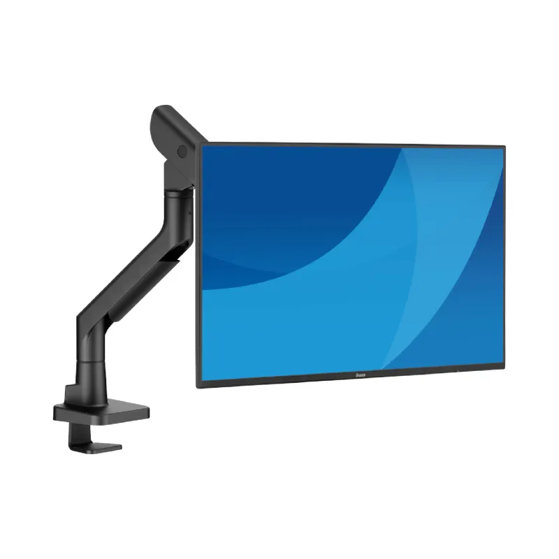 Monitortartó Iiyama (DS6001C-B1)
