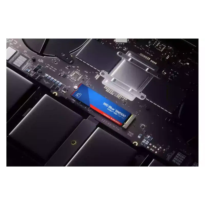 SSD съхранение WD (WDS100T5B0E)