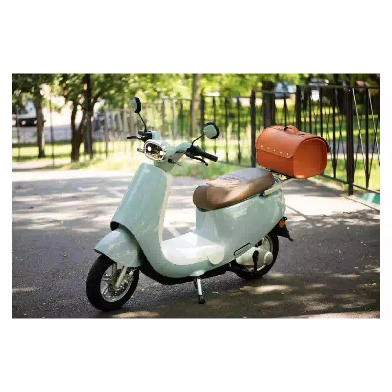 Electric scooter 2E MQ6 (2EESMQQ6PLUS), Blue