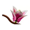 Construtor LEGO Botanicals  (11510)