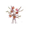 Construtor LEGO Botanicals  (11510)