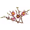 Construtor LEGO Botanicals  (11510)