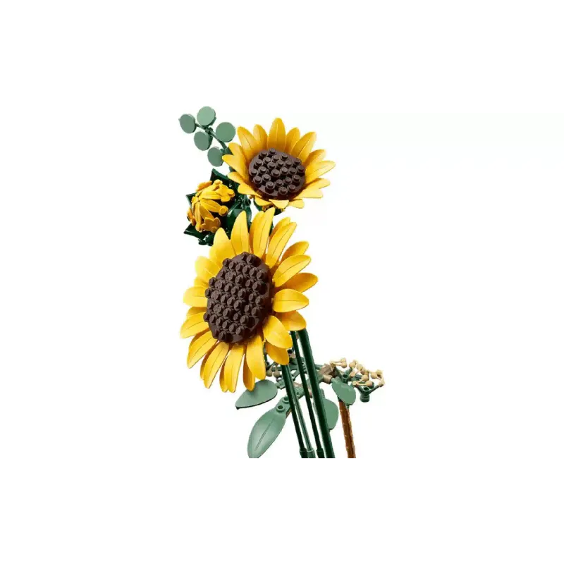 Construtor LEGO Botanicals  (11502)
