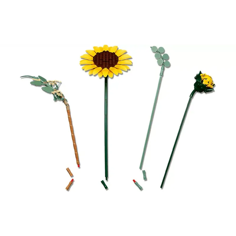 Construtor LEGO Botanicals  (11502)