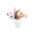 Ваза Ardesto Trento (AR3824W), 15.5 х 20 см, порцеляна, White