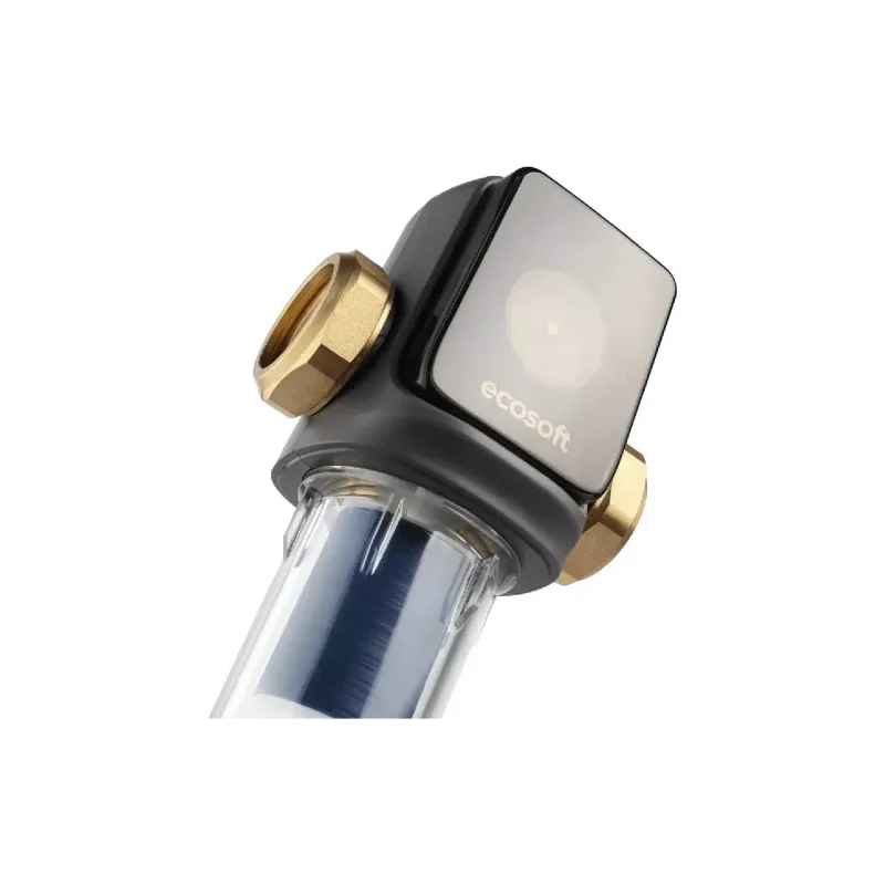 Filtro de disco de limpieza mecánica Ecosoft (TXHES2)