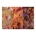 Пазл GoodLoot Imagination Karolina Matyjaszkowicz In the Avian Thicket Triptych (5908305250890), 1000 шт