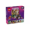 Konstruktor LEGO Friends Music Store & Apartment (42653)