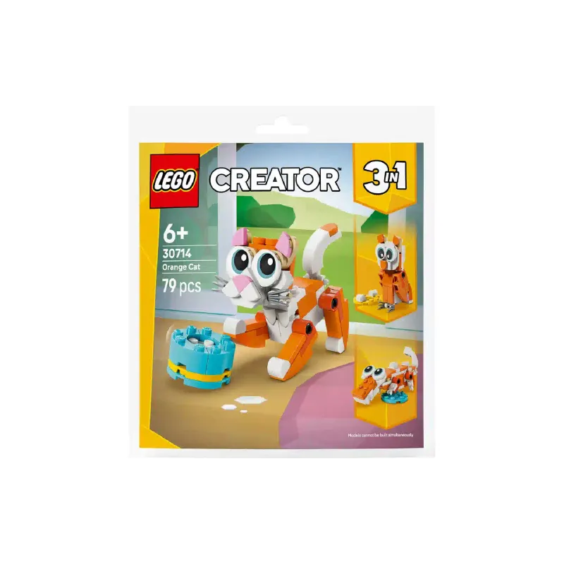 Construtor LEGO (30714)