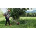 Garden trimmer Einhell AGILLO (3411310K), 20/30 cm