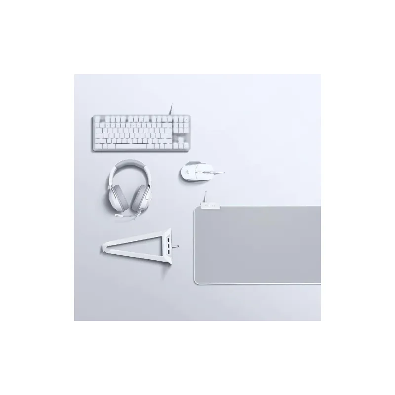 Spielfläche Razer, Grey (RZ02-02500314-R3M1)
