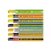 خرطوم الري 2E AquaFlex Emerald Pro (2E-GHE12ED50) خرطوم الري 2E AquaFlex Emerald Pro (2E-GHE12ED50)