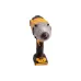 Гайковерт DeWALT (DCF899N)