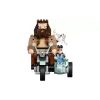 Constructor LEGO Harry Potter Hagrid & Harry's Motorcycle Ride (76443)