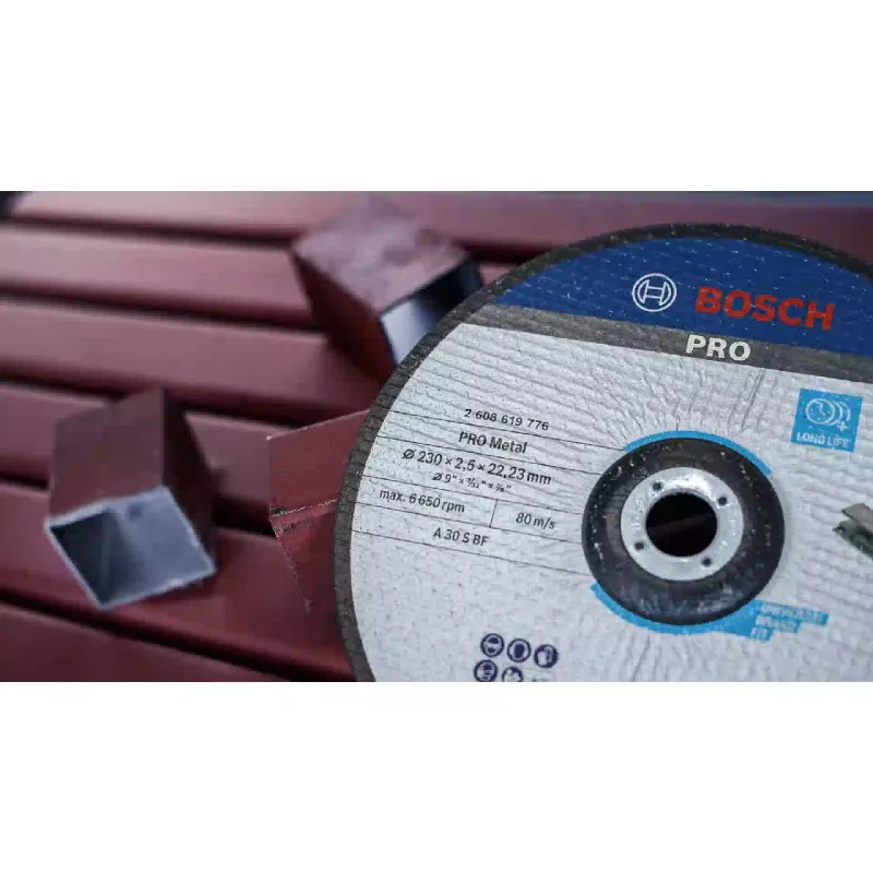 القرص قابل للإزالة Bosch (2.608.603.168)
