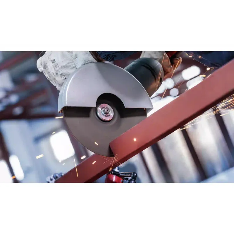 O disco é removível. Bosch (2.608.603.167)