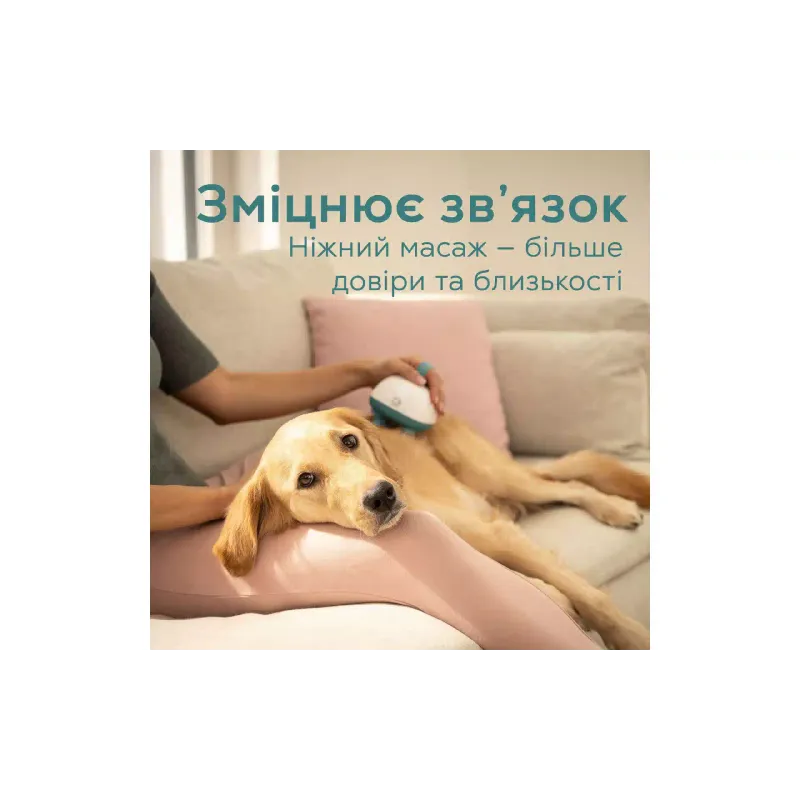 Pet massager Beurer (PP_410_BUDDY), White/Turquoise