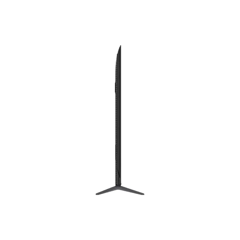 Fernseher TCL (65P81K)