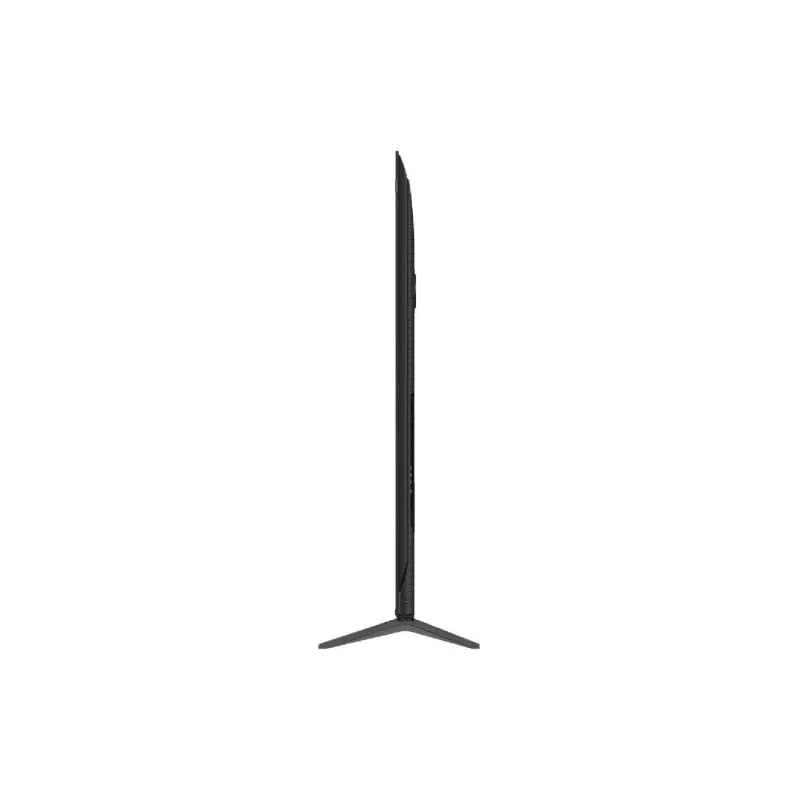 Fernseher TCL (65P81K)