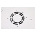 Armário Digitus Wall Mounting Dynamic Basic, Gray (DN-1912-U-EC)