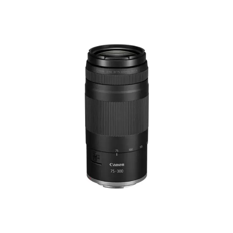 Камера Canon EOS R100 + 18-45 IS STM + 75-300 IS STM (6052C121)