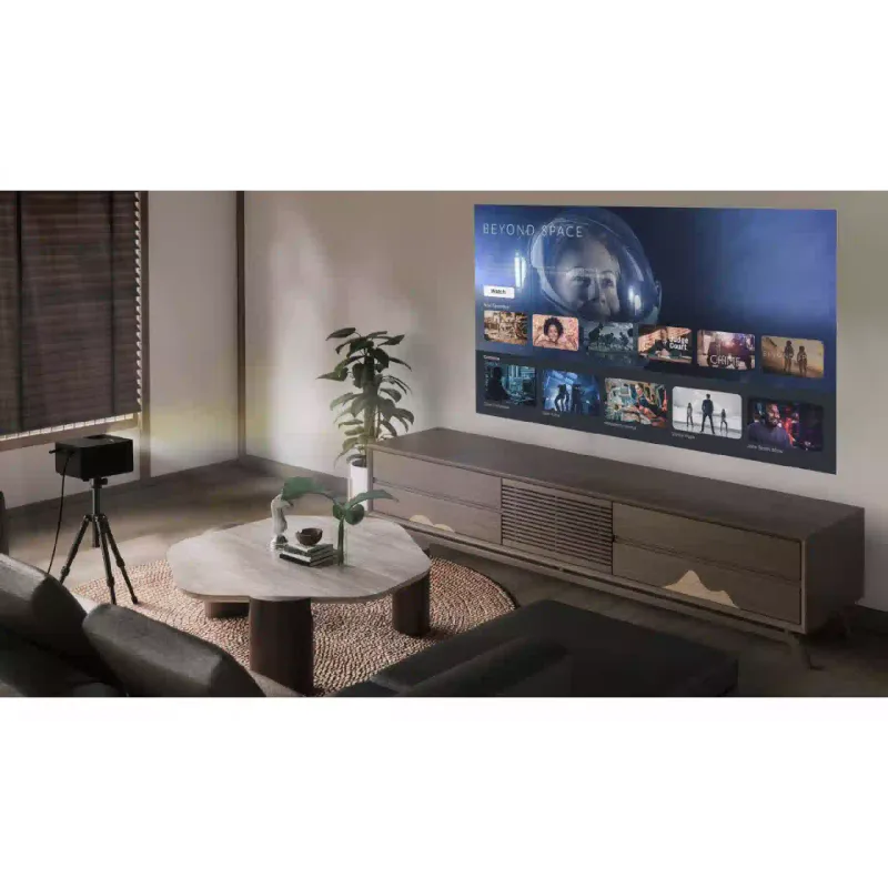 Proyector Optoma (E3PB011E111)