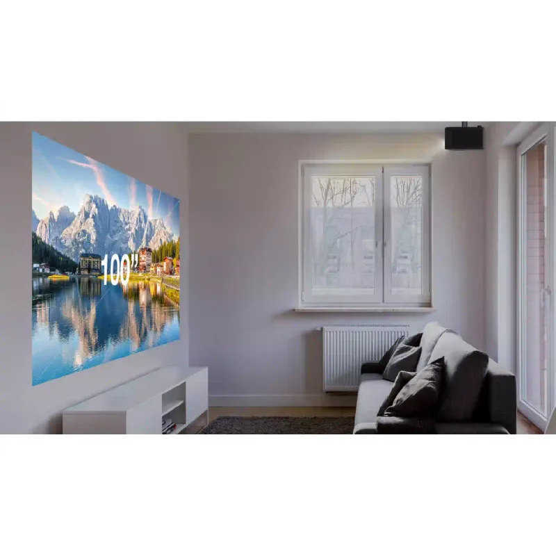 Proyector Optoma (E3PB011E111)