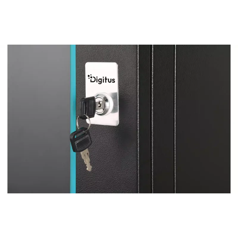 Шафа Digitus (DN-37105), Black